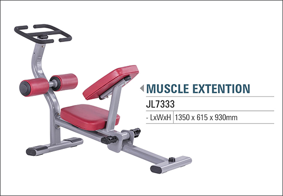GYMCO - Transforming Life :: Best Gym Equipments, State of the art ...