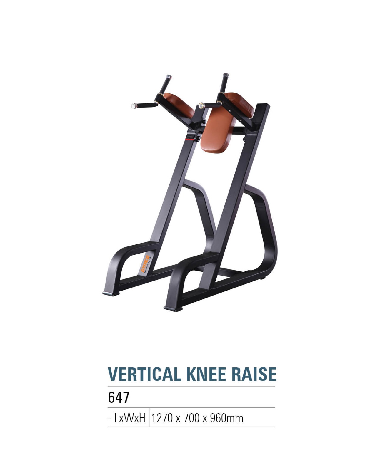 Vertical Knee Raise