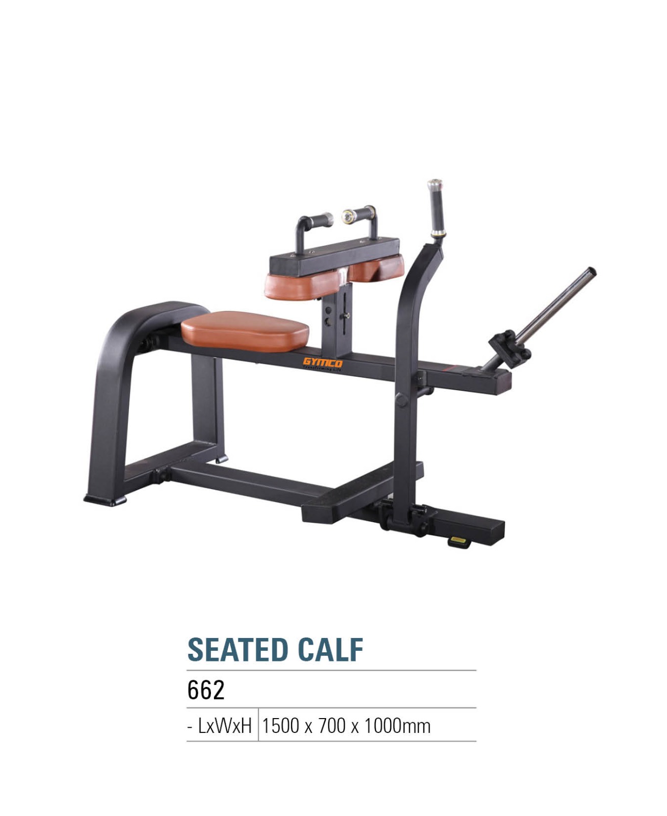Seated Calf 662